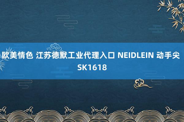 欧美情色 江苏德默工业代理入口 NEIDLEIN 动手尖 SK1618