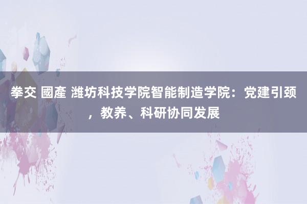 拳交 國產 潍坊科技学院智能制造学院：党建引颈，教养、科研协同发展