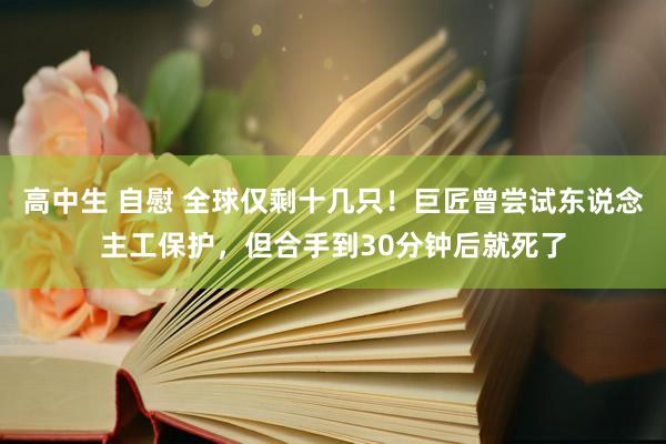 高中生 自慰 全球仅剩十几只！巨匠曾尝试东说念主工保护，但合手到30分钟后就死了