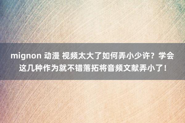 mignon 动漫 视频太大了如何弄小少许？学会这几种作为就不错落拓将音频文献弄小了！