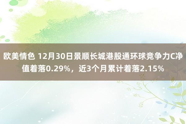 欧美情色 12月30日景顺长城港股通环球竞争力C净值着落0.29%，近3个月累计着落2.15%