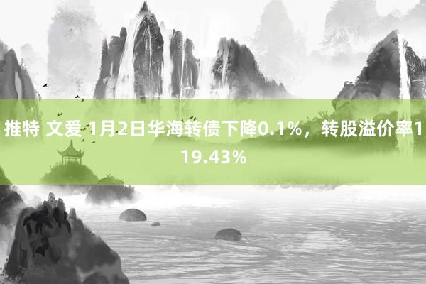 推特 文爱 1月2日华海转债下降0.1%，转股溢价率119.43%