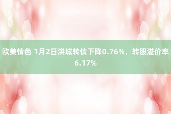 欧美情色 1月2日洪城转债下降0.76%，转股溢价率6.17%