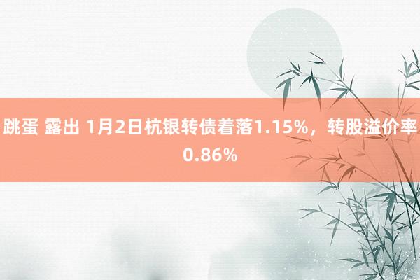 跳蛋 露出 1月2日杭银转债着落1.15%，转股溢价率0.86%