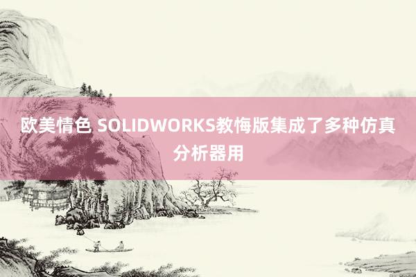 欧美情色 SOLIDWORKS教悔版集成了多种仿真分析器用