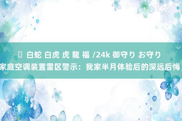 ✨白蛇 白虎 虎 龍 福 /24k 御守り お守り 家庭空调装置雷区警示：我家半月体验后的深远后悔！