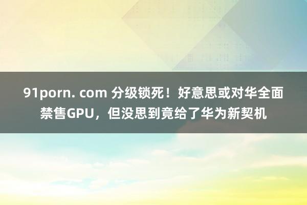 91porn. com 分级锁死！好意思或对华全面禁售GPU，但没思到竟给了华为新契机