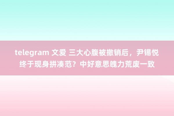 telegram 文爱 三大心腹被撤销后，尹锡悦终于现身拼凑范？中好意思魄力荒废一致