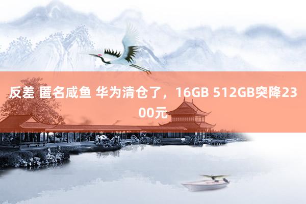 反差 匿名咸鱼 华为清仓了，16GB 512GB突降2300元