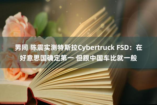 男同 陈震实测特斯拉Cybertruck FSD：在好意思国确定第一 但跟中国车比就一般